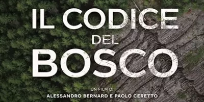 Il codice del bosco