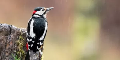 ESCURSIONI: Nei panni del fotografo