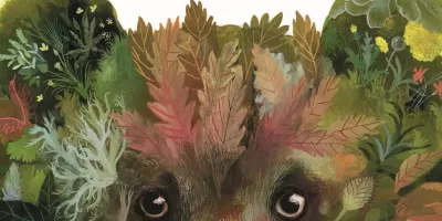 Libri a Merenda  -  A misura di orso