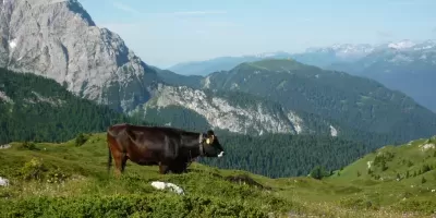 Malga Stabolone