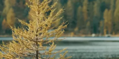OPEN LAB - water edition