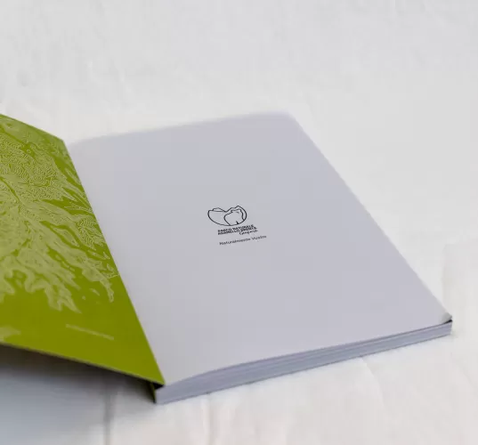 libro_licheni-4.jpg