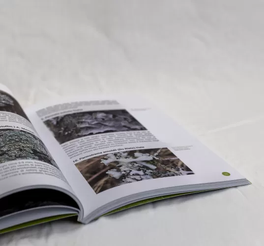 libro_licheni-5.jpg